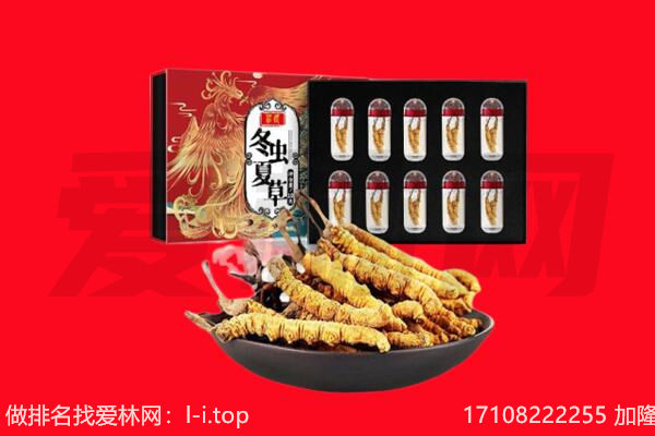 聊城回收虫草.jpg